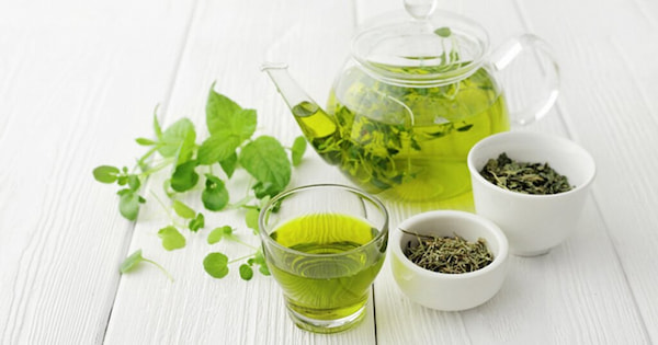 تصویر 4 از قیمت خرید معجون چای سبز با فروش عمده
